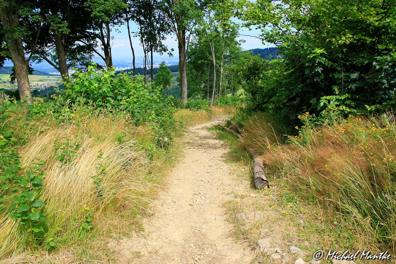 Wanderweg vom Schauinsland nach Horben