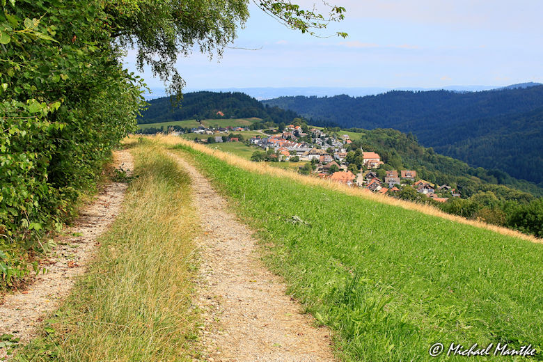 Wanderweg vom Schauinsland nach Horben