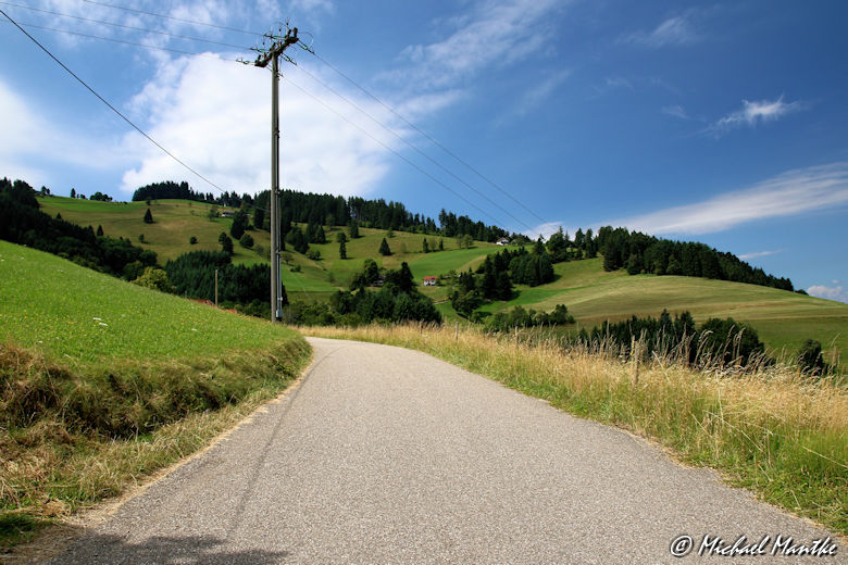Wanderweg vom Schauinsland nach Horben