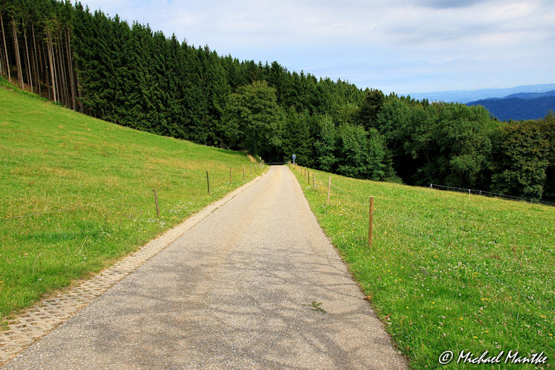Strasse nach dem Eckhof Richtung Horben