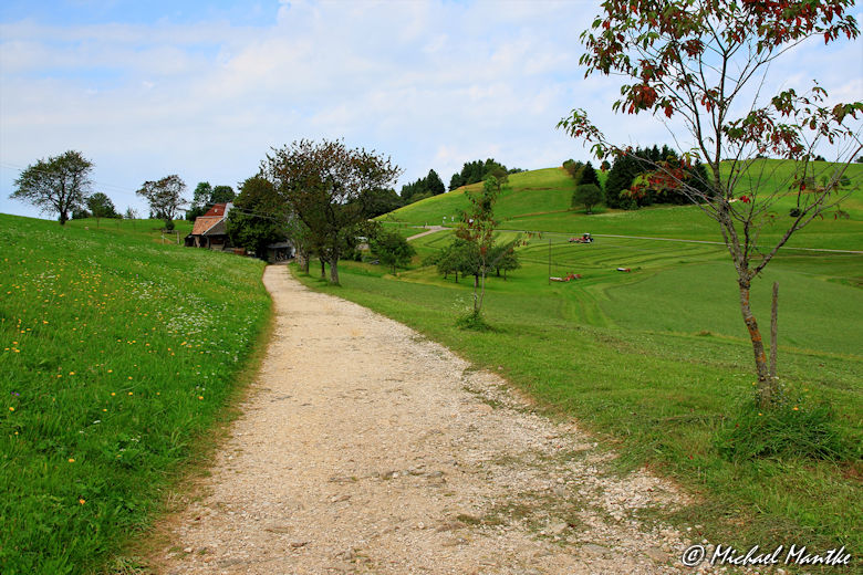 Weg vorbei an Höfen nach Horben