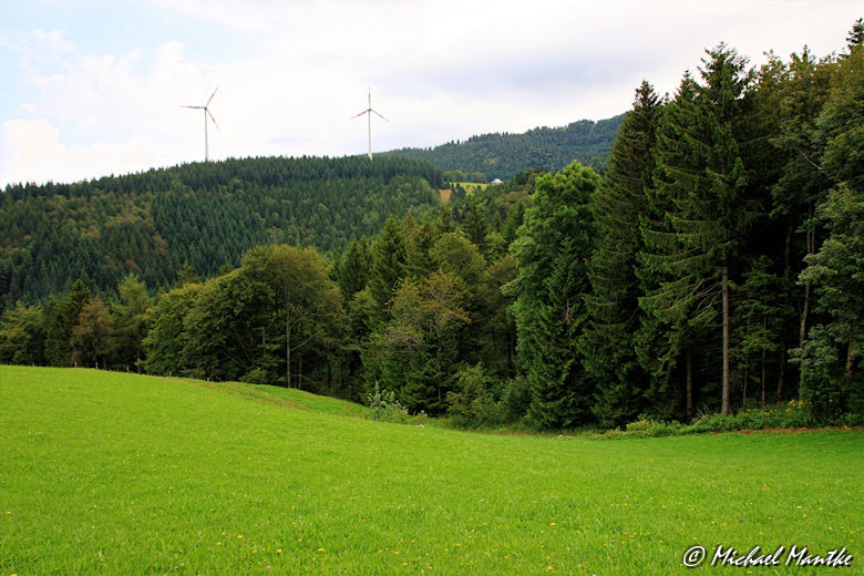 2 Windräder, Wiese und Wald