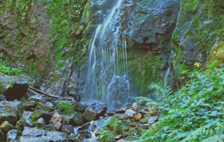 Burgbachwasserfall Wanderung