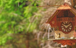Uhrwaldpfad Rohrhardsberg Kuckucksuhr