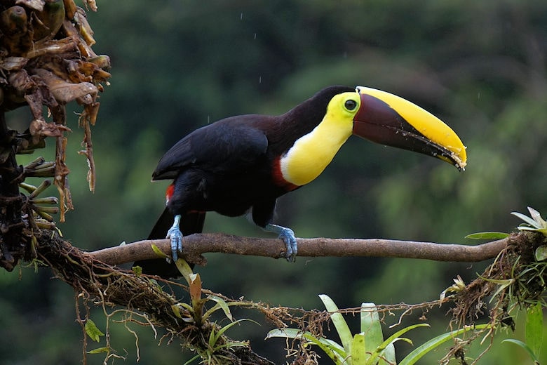 Steckbrief Costa Rica