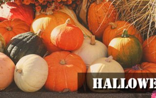 Ausflugsbericht zur Halloween Saison im Europa-Park