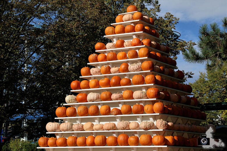 Kürbisse zu Halloween im Europa-Park