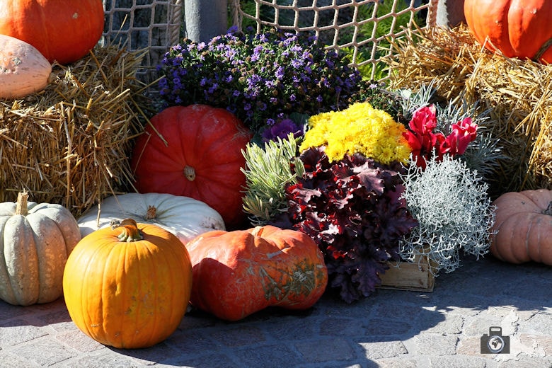 Kürbisse zu Halloween im Europa-Park