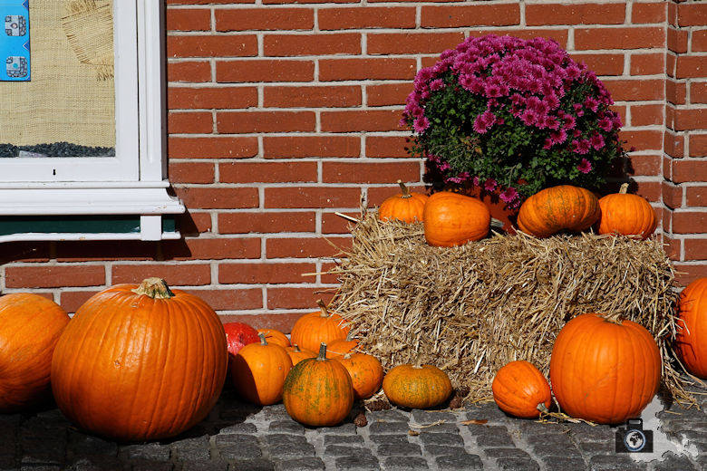 Kürbisse zu Halloween im Europa-Park
