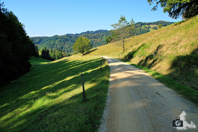 Rundwanderweg Münstertal