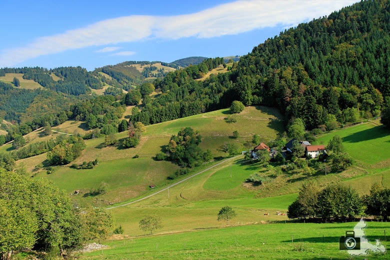 Münstertal Landschaft im Schwarzwald