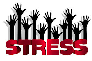 Stress im Hamsterrad