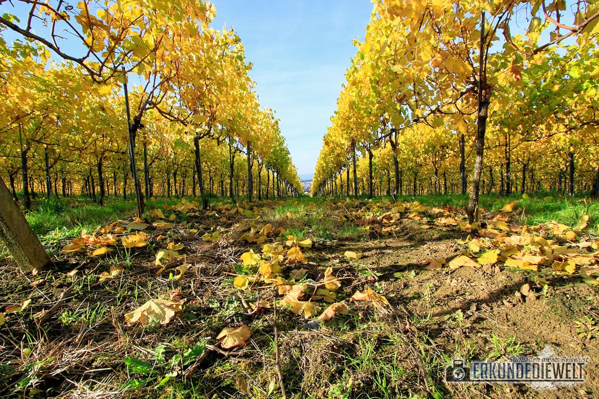 Canon EF-S 10-22mm f/3.5-4.5 USM Beispielbild - Herbst in St. Georgen, Freiburg Canon EF-S 10-22mm f/3.5-4.5 USM Beispielbild - Herbst in St. Georgen, Freiburg