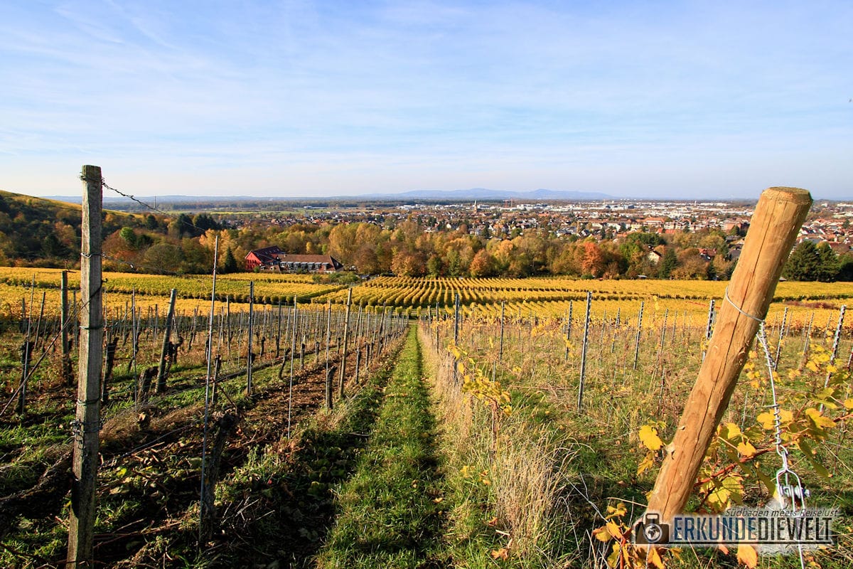 Canon EF-S 10-22mm f/3.5-4.5 USM Beispielbild - Herbst in St. Georgen, Freiburg Canon EF-S 10-22mm f/3.5-4.5 USM Beispielbild - Herbst in St. Georgen, Freiburg