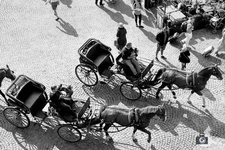 Pferdekutschen in Brügge in Belgien