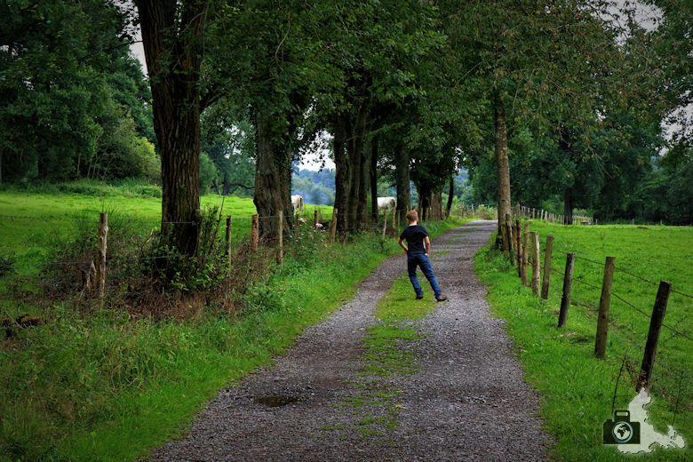 Wanderung in der Wallonie bei Wéris in den Ardennen