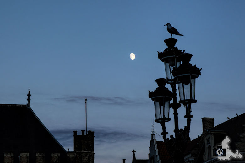 Brügge bei Nacht