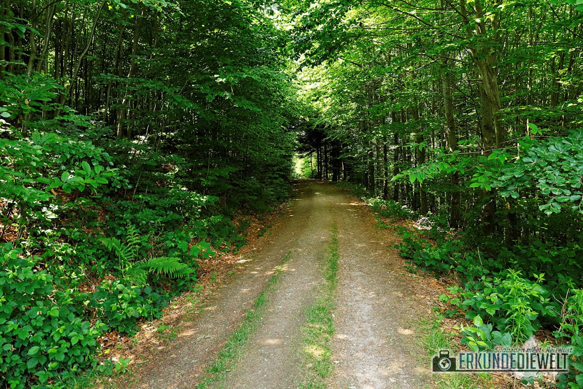 Alde-Gott-Panoramarunde, Sasbachwalden, Schwarzwald