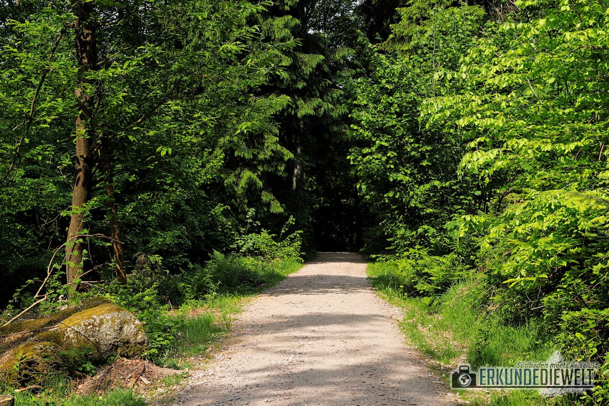 Alde-Gott-Panoramarunde, Sasbachwalden, Schwarzwald