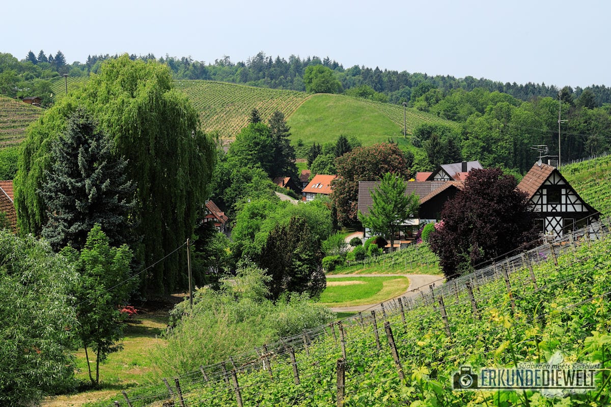 Alde-Gott-Panoramarunde, Sasbachwalden, Schwarzwald