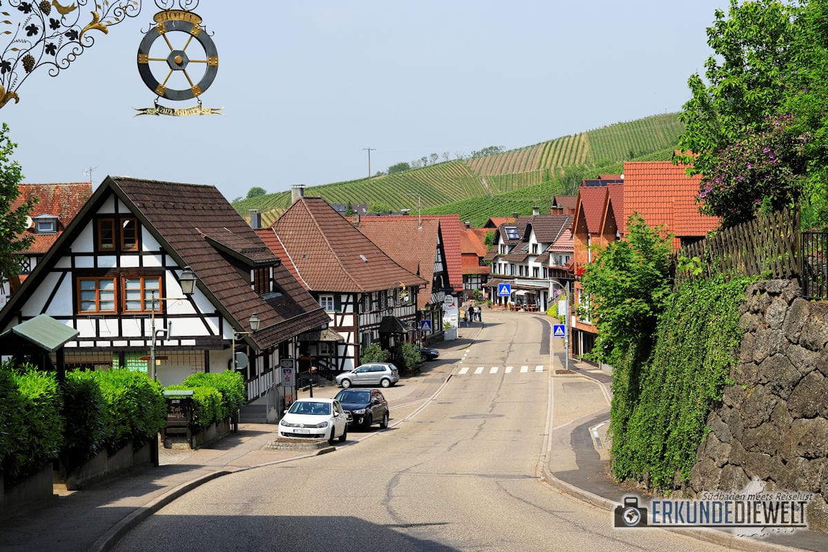 Alde-Gott-Panoramarunde, Sasbachwalden, Schwarzwald