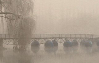 Fotowalk #1 - Winternebel im Seepark Freiburg