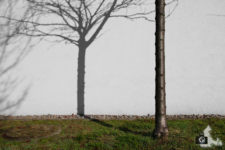 Fotowalk #2 - Freiburg St. Georgen im Februar