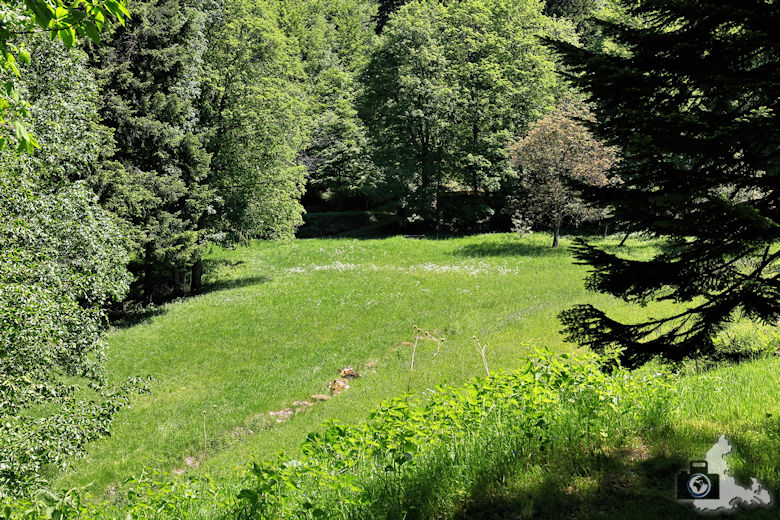 buehlertal-kohlbergwiese