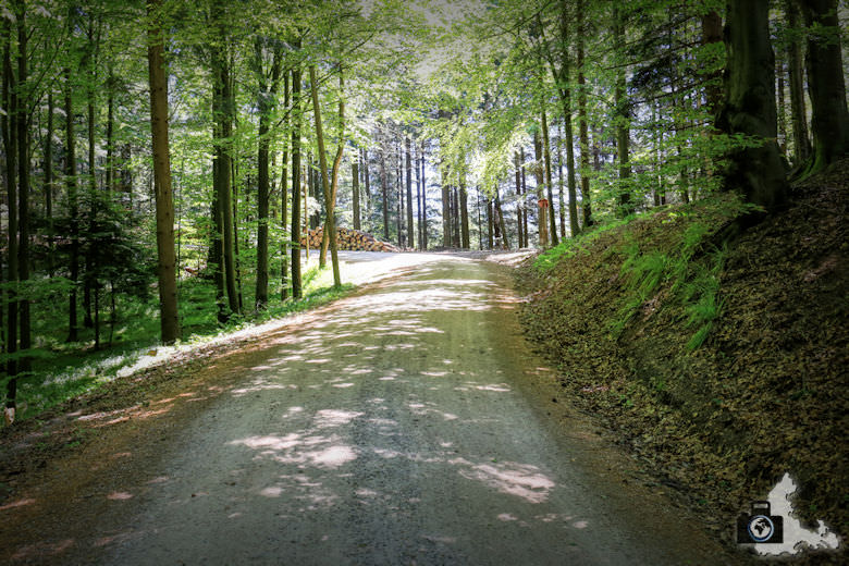 buehlertal-gertelbach-rundweg-waldweg