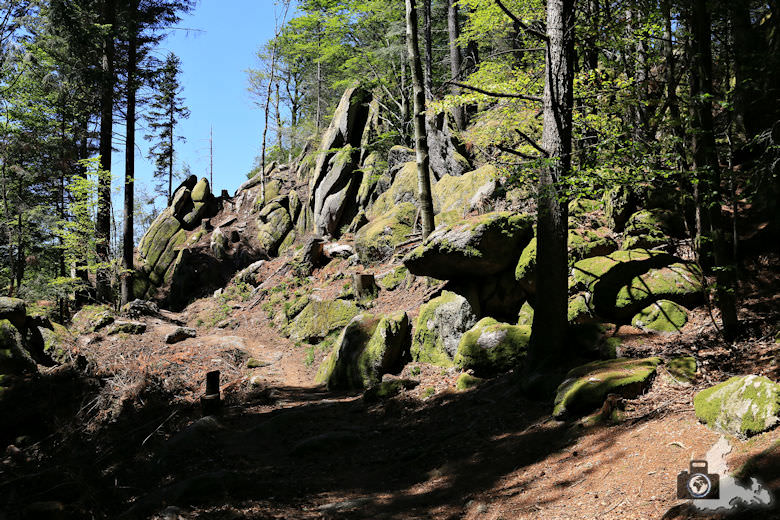buehlertal-gertelbach-rundweg-falkenfelsen