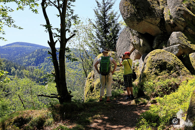 buehlertal-gertelbach-rundweg-falkenfelsen