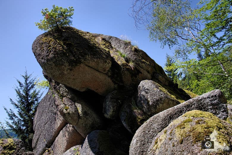 buehlertal-gertelbach-rundweg-falkenfelsen