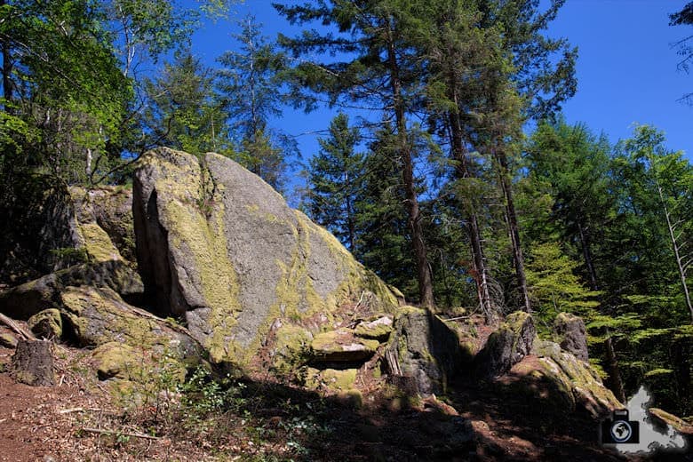 buehlertal-gertelbach-rundweg-falkenfelsen