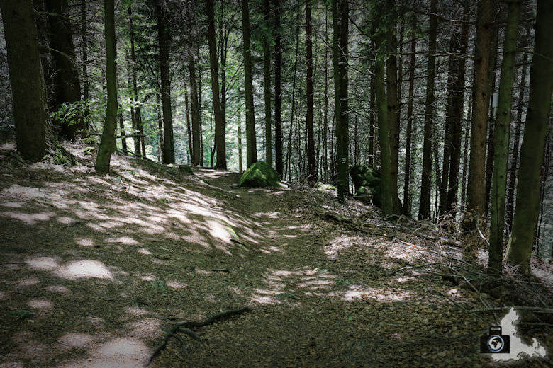 buehlertal-gertelbach-rundweg