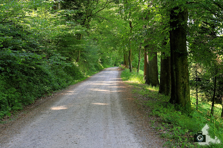 buehlertal-gertelbach-rundweg