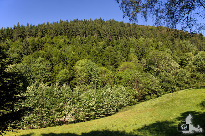 buehlertal-gertelbach-rundweg