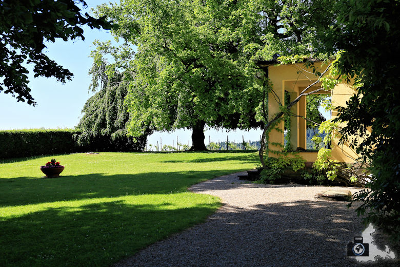 weingut-naegelsfoerst-straussie