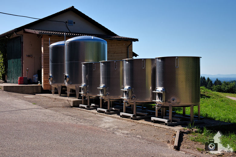 weingut-naegelsfoerst-straussie