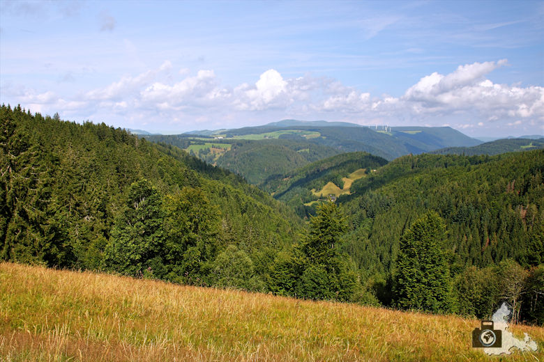 aussicht-schwarzwald