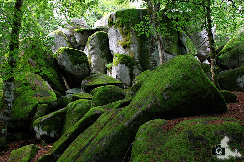 guenterfelsen-schwarzwald