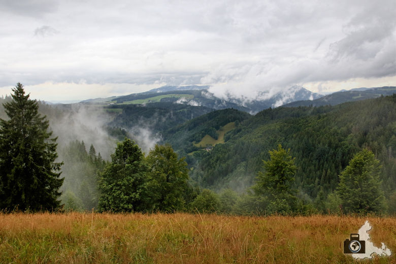 nebelschwaden-schwarzwald