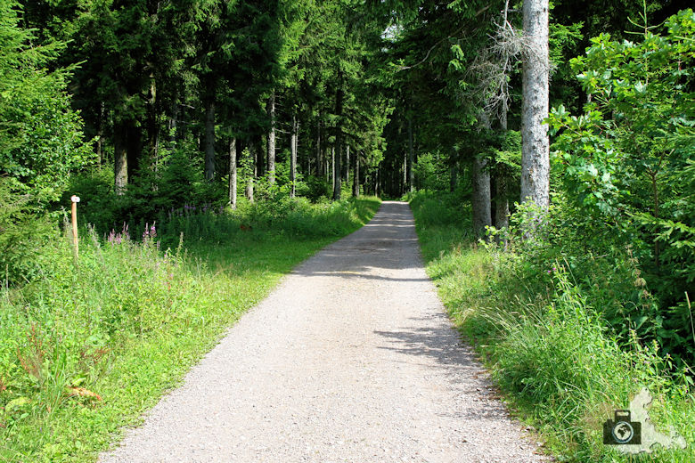 wanderung-brendturm-guenterfelsen-donauquelle-schwarzwald