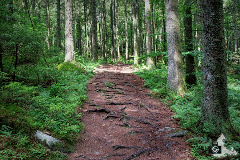 wanderung-brendturm-guenterfelsen-donauquelle-schwarzwald