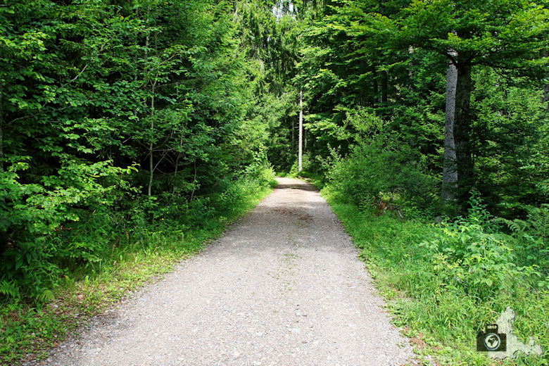 wanderung-brendturm-guenterfelsen-donauquelle-schwarzwald