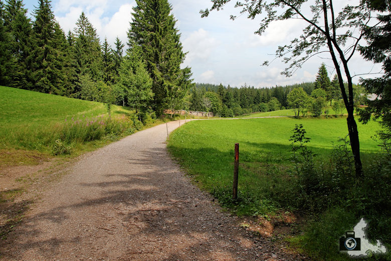 wanderung-brendturm-guenterfelsen-donauquelle-schwarzwald