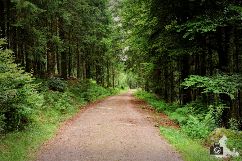 wanderung-brendturm-guenterfelsen-donauquelle-schwarzwald