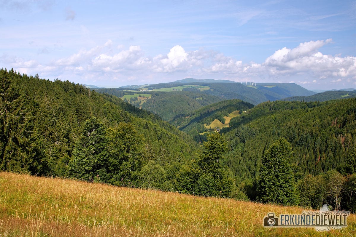 Schwarzwald Landschaft, Deutschland