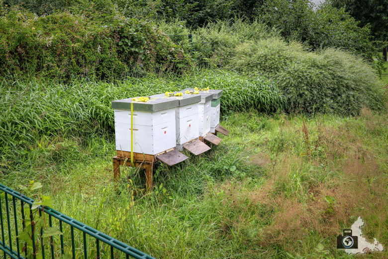 Lindner Park-Hotel Hagenbeck Hamburg - Bienenstock