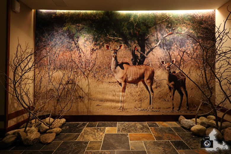Lindner Park-Hotel Hagenbeck Hamburg - Afrika Etage