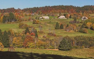 Ibacher Panoramaweg - Schwarzwälder Genießerpfad